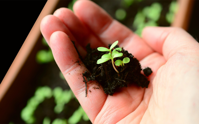 Growing through Repentance