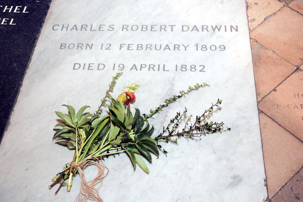A bunch of flowers placed on Charles Darwin's gravestone in Westminster Abbey