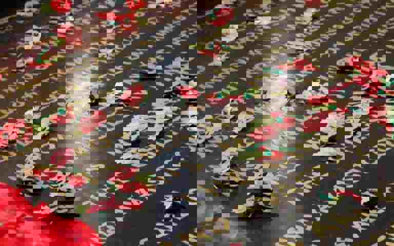 Buried among the kings: The story of the Unknown Warrior