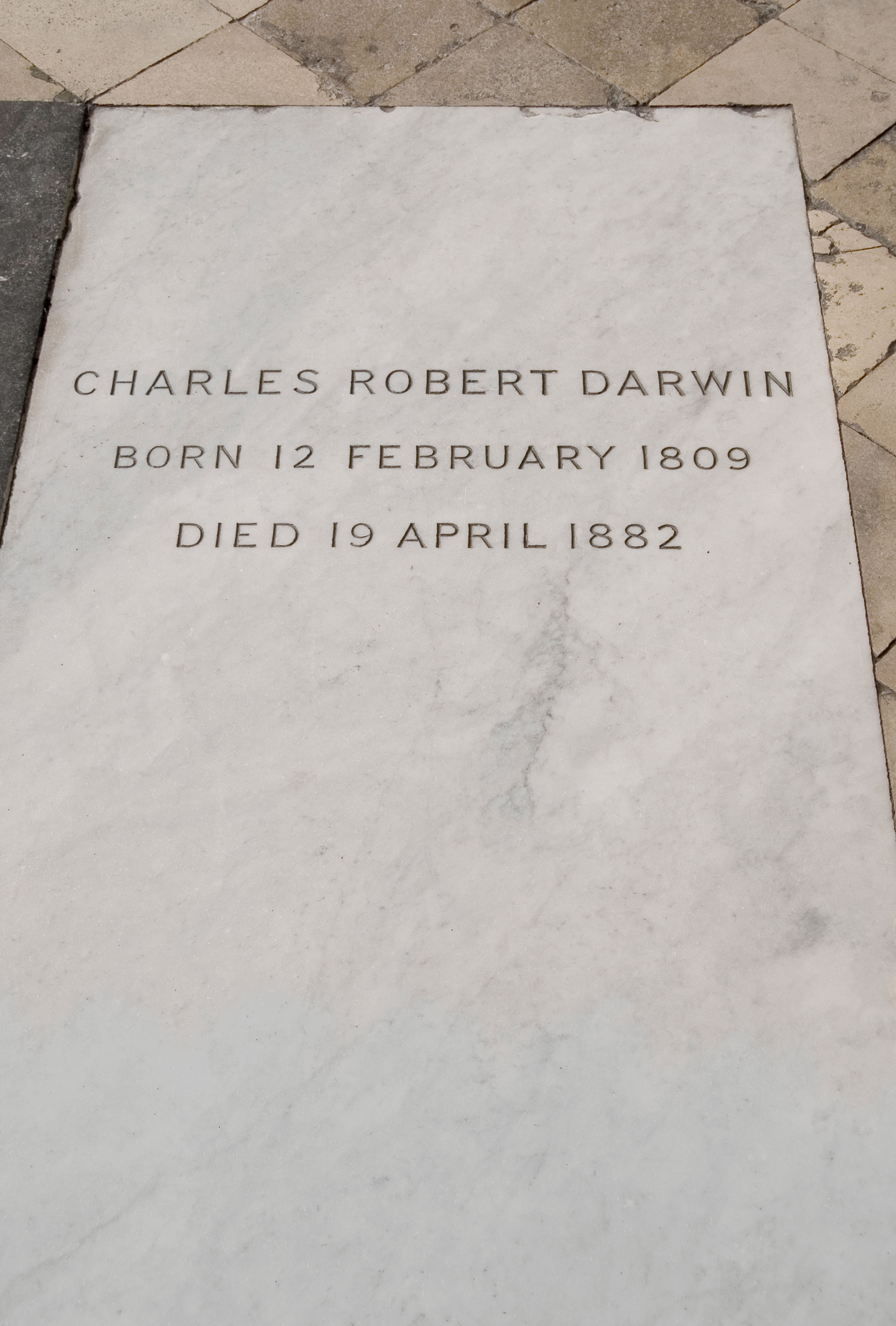 Pale marble gravestone inscribed with 'CHARLES ROBERT DARWIN BORN 12 FEBRUARY 1809. DIED 19 APRIL 1882.'