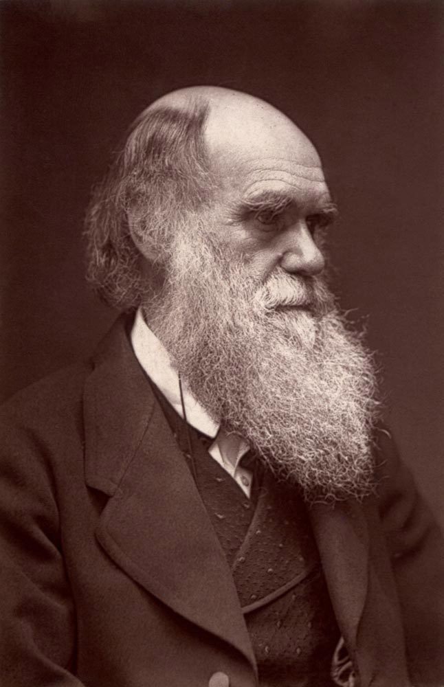 Photograph of Charles Darwin as an old man