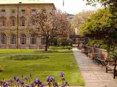 Photograph of College Garden, showing purple flowers, grass and park benches, within Westminster Abbey
