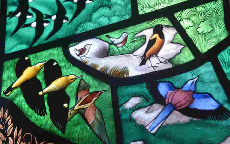 Photograph of different coloured birds within a stained-glass window representing animals within Westminster Abbey