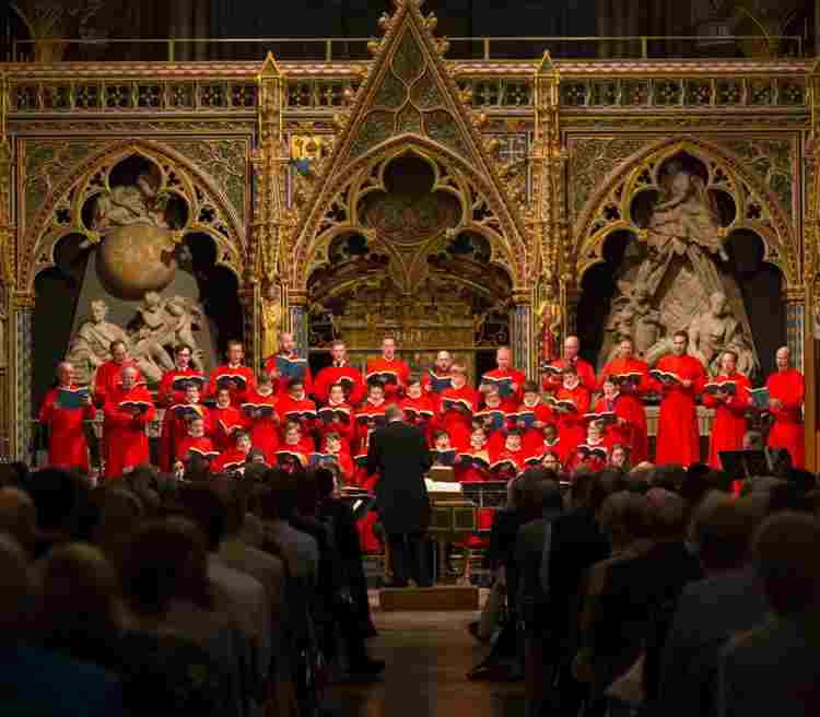 Concerts / live performance