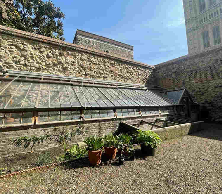 Photograph of the greenhouse in College Garden with the medieval wall wrapping around it