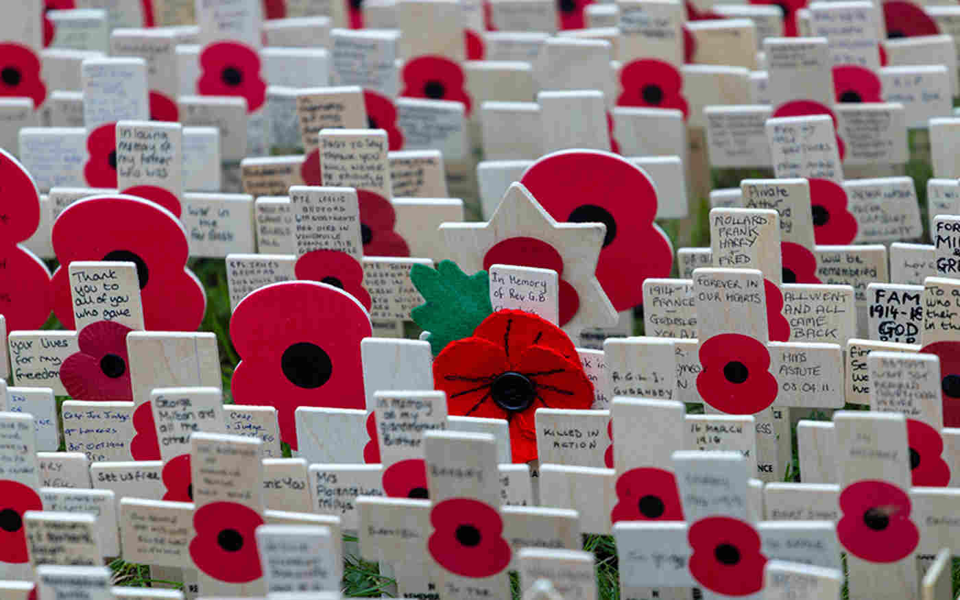Field of Remembrance 2025