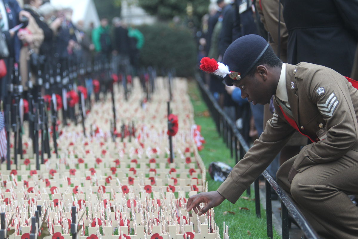 Duke of Edinburgh and Prince Harry Open 87th Field of Remembrance ...