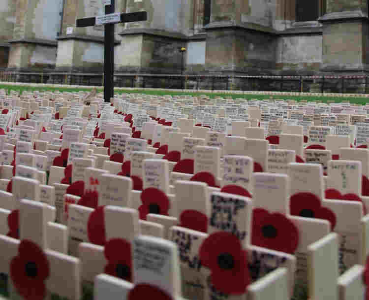 Close up of Field of Remembrance outside Westminster Abbey