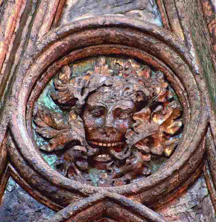 A carving of the face of a Green Man with foliage around his head and coming out of his mouth.